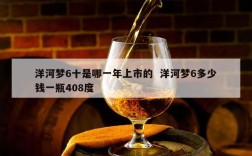 洋河梦6十是哪一年上市的  洋河梦6多少钱一瓶408度