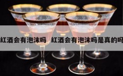 红酒会有泡沫吗  红酒会有泡沫吗是真的吗