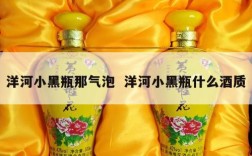 洋河小黑瓶那气泡  洋河小黑瓶什么酒质