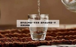 国外进口啤酒一手货源  国外进口啤酒一手货源在哪里