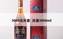 3000元汾酒  汾酒3000ml