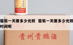 葡萄一天要多少光照  葡萄一天要多少光照时间呢