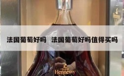法国葡萄好吗  法国葡萄好吗值得买吗