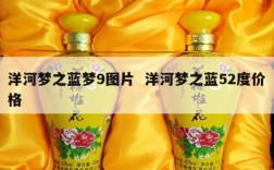 洋河梦之蓝梦9图片  洋河梦之蓝52度价格