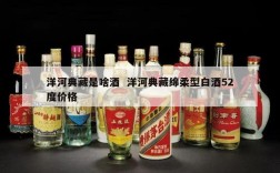 洋河典藏是啥酒  洋河典藏绵柔型白酒52度价格