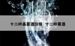十二岭桑葚酒价格  十二岭果酒