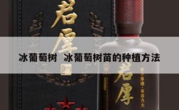 冰葡萄树  冰葡萄树苗的种植方法