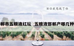 邯郸市五粮液红坛  五粮液邯郸产哪几种酒