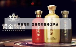 从林葡萄  丛林葡萄品种优缺点