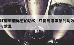 红葡萄酒洋葱的功效  红葡萄酒洋葱的功效与禁忌