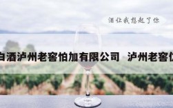 白酒泸州老窖怕加有限公司  泸州老窖仿