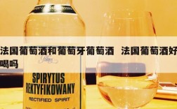 法国葡萄酒和葡萄牙葡萄酒  法国葡萄酒好喝吗