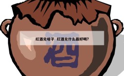 红酒兑啥子  红酒兑什么最好喝?