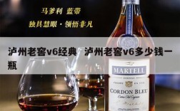 泸州老窖v6经典  泸州老窖v6多少钱一瓶