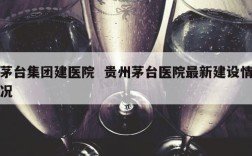 茅台集团建医院  贵州茅台医院最新建设情况
