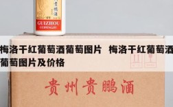 梅洛干红葡萄酒葡萄图片  梅洛干红葡萄酒葡萄图片及价格
