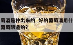 好葡萄酒是种出来的  好的葡萄酒用什么品种的葡萄酿造的?