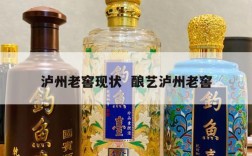 泸州老窖现状  酿艺泸州老窖