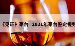 《见证》茅台  2021年茅台鉴定视频