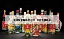 洋河末来发展怎么样  洋河发展前景