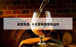 最葡萄酒  十大葡萄酒葡萄品种