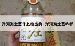 洋河海之蓝什么推出的  洋河海之蓝咋样