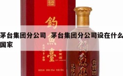 茅台集团分公司  茅台集团分公司设在什么国家