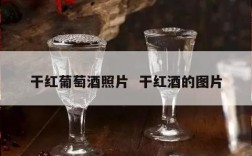 干红葡萄酒照片  干红酒的图片
