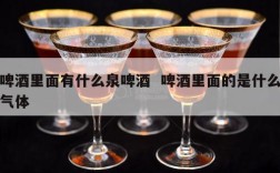 啤酒里面有什么泉啤酒  啤酒里面的是什么气体