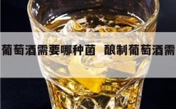 酿造葡萄酒需要哪种菌  酿制葡萄酒需要哪种菌