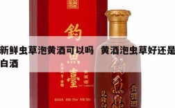 新鲜虫草泡黄酒可以吗  黄酒泡虫草好还是白酒
