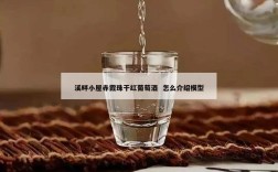 溪畔小屋赤霞珠干红葡萄酒  怎么介绍模型