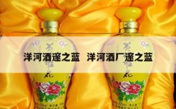 洋河酒邃之蓝  洋河酒厂邃之蓝
