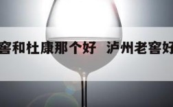 泸州老窖和杜康那个好  泸州老窖好还是杜康好
