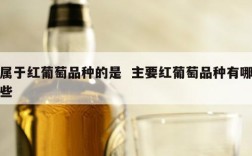 属于红葡萄品种的是  主要红葡萄品种有哪些
