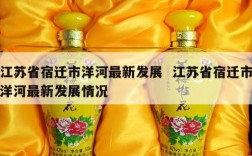 江苏省宿迁市洋河最新发展  江苏省宿迁市洋河最新发展情况