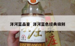 洋河蓝品鉴  洋河蓝色经典级别