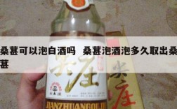 桑葚可以泡白酒吗  桑葚泡酒泡多久取出桑葚