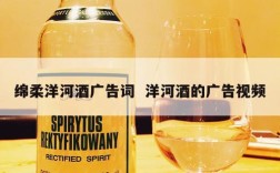 绵柔洋河酒广告词  洋河酒的广告视频