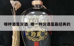 哪种酒是汾酒  哪一种汾酒是最经典的