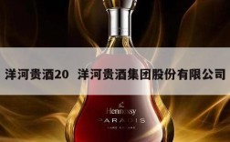 洋河贵酒20  洋河贵酒集团股份有限公司