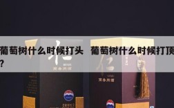 葡萄树什么时候打头  葡萄树什么时候打顶?
