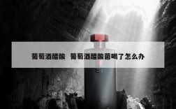 葡萄酒醋酸  葡萄酒醋酸菌喝了怎么办