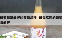 最葡萄酒最好的葡萄品种  最受欢迎的葡萄酒品种