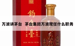 万波讲茅台  茅台集团万波现任什么职务