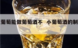 小粒葡萄能做葡萄酒不  小葡萄酒的制作方法