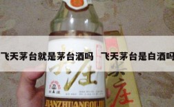 飞天茅台就是茅台酒吗  飞天茅台是白酒吗