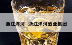 浙江洋河  浙江洋河酒业集团