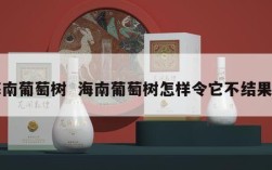 海南葡萄树  海南葡萄树怎样令它不结果呢