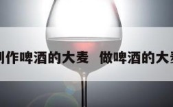 制作啤酒的大麦  做啤酒的大麦